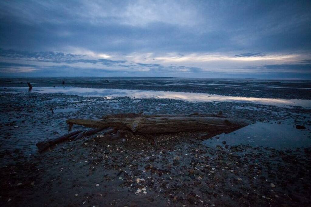 The beach - Willapa Bay