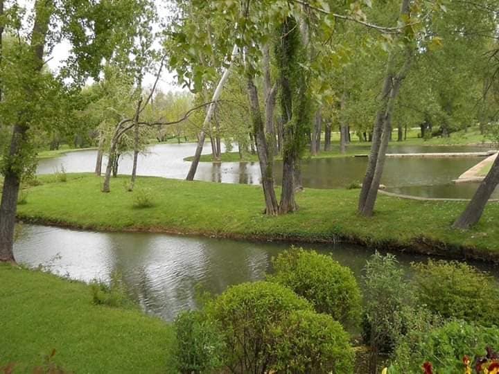 A serene landscape presents gentle waterways bordered by lush greenery. Trees with sprawling branches create a natural canopy, reflecting in the calm water below. The scene exudes tranquility, perfect for outdoor relaxation and enjoying nature.