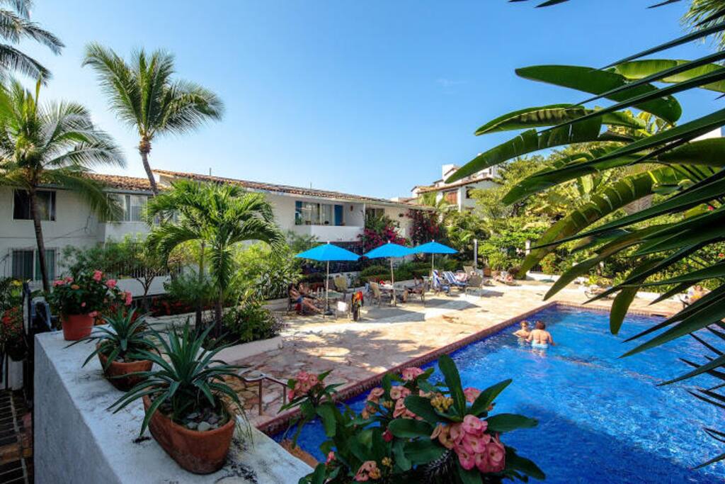 The Pool (Solar heated in winter months)