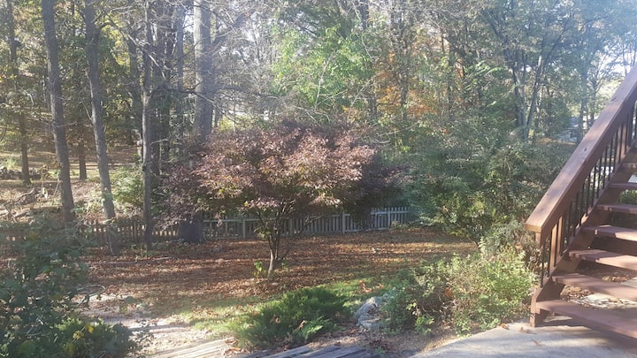 Cozy, Beautiful Suburban home on wooded lot