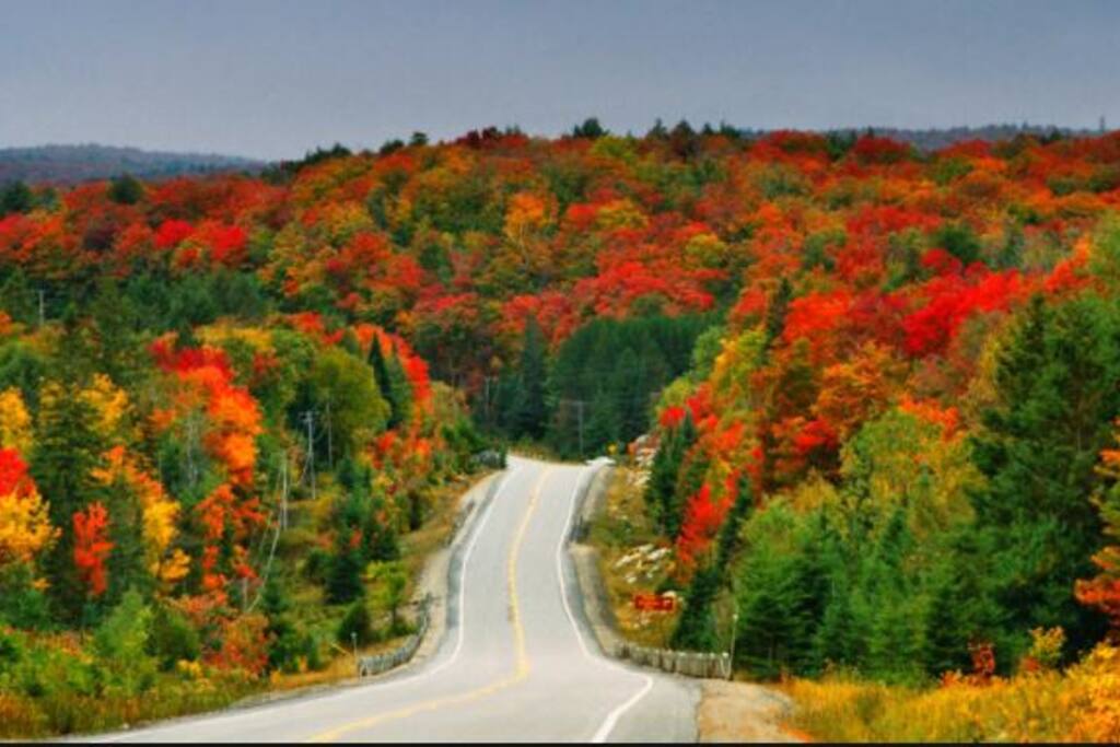 Autumn in Nova Scotia