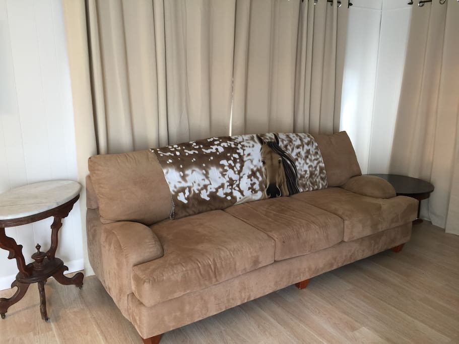 Living room couch (also sleeper)