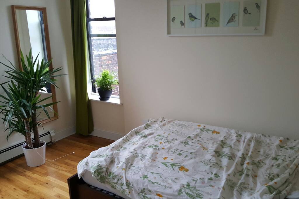 this is my room