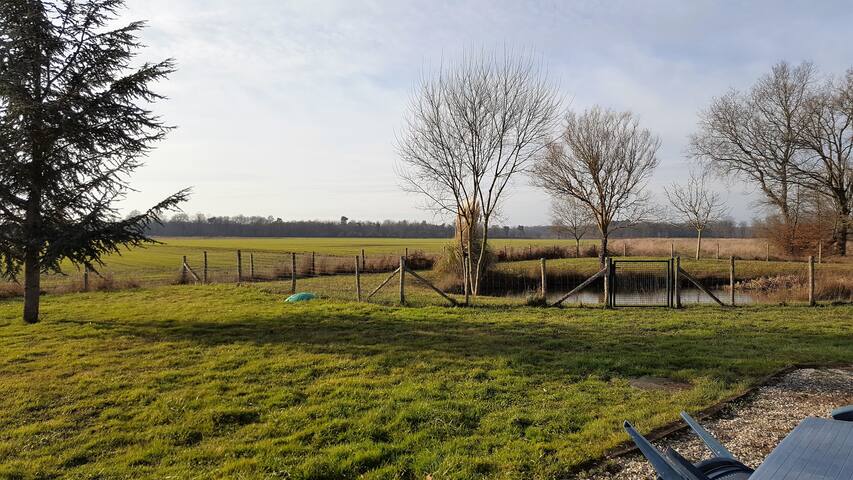 L`Etang Enchante Full Movie In English