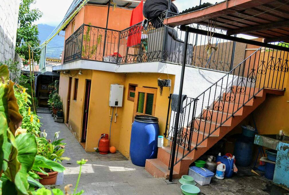 El jardín y la terraza