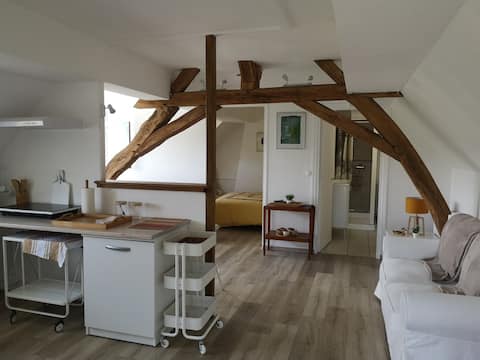 Cozy apartment near Chenonceau, Beauval Zoo.