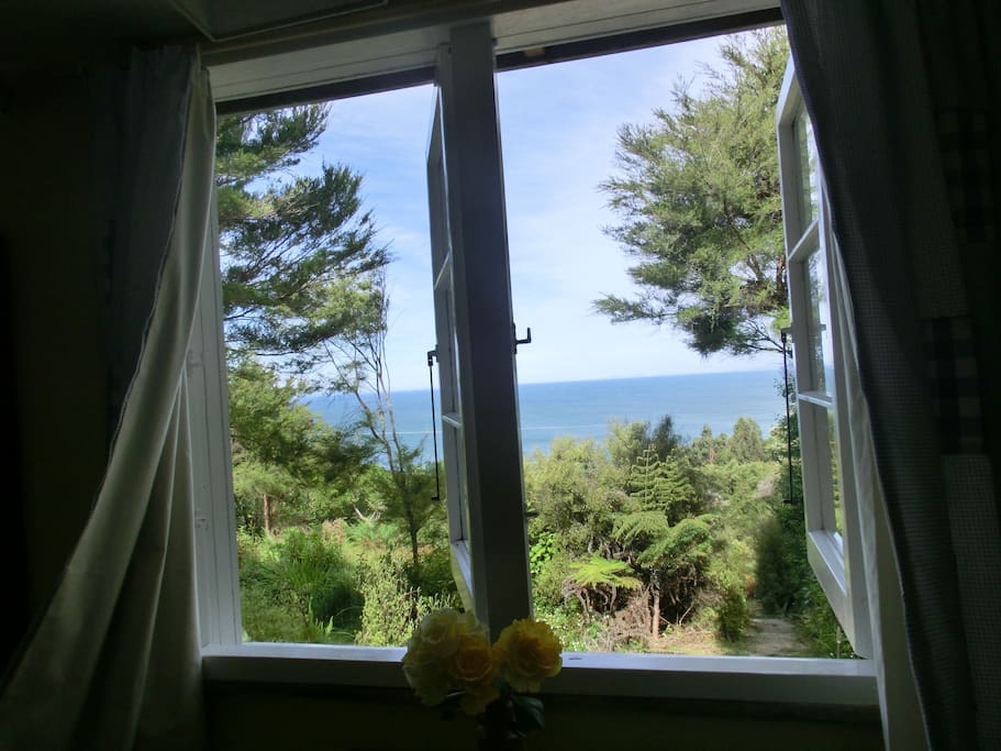 The view from Toreo