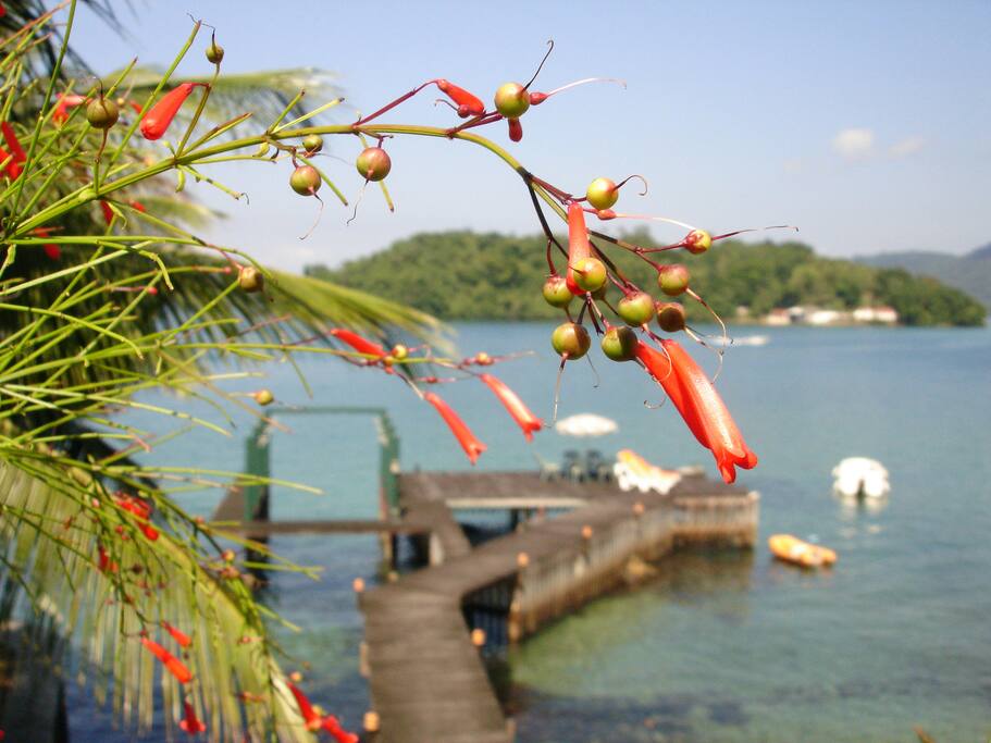 Cais, visto da piscina