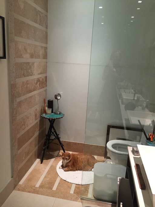 luxury bathroom