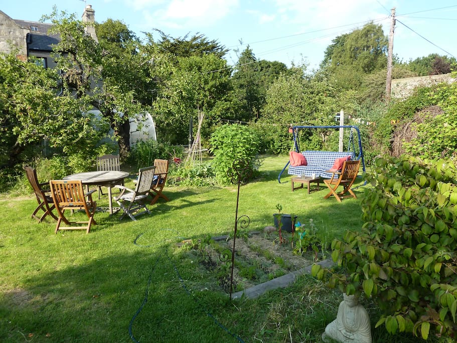 back garden