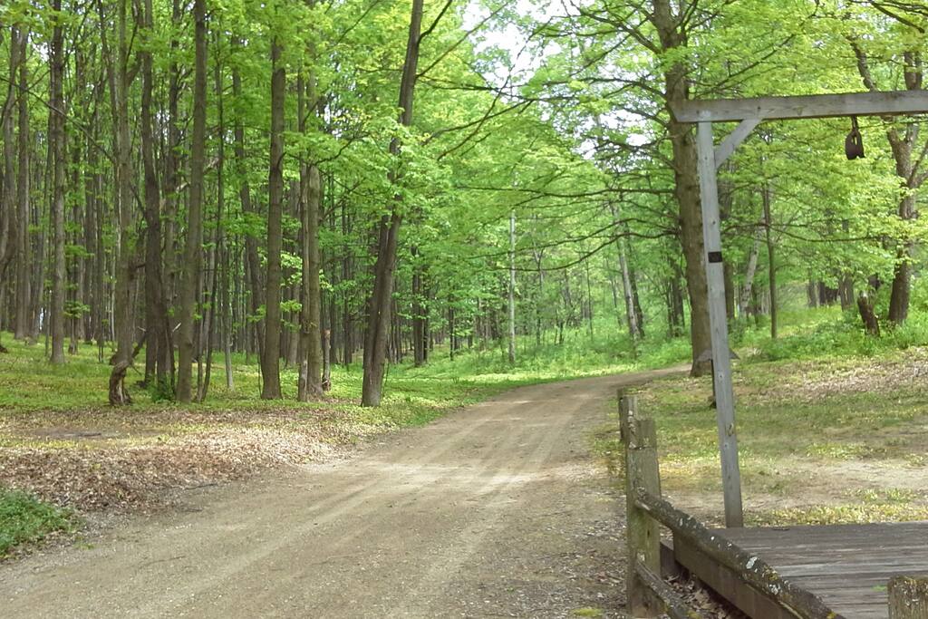 Your view down the drive