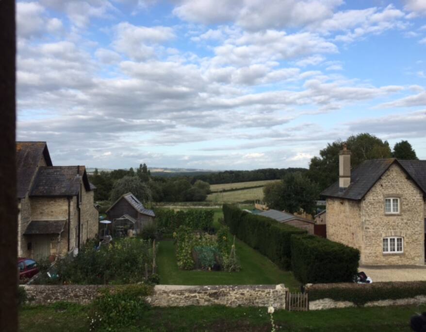 The view