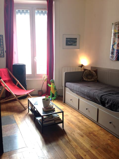 Lyon, Bright Studio, 24 m2, station Republique