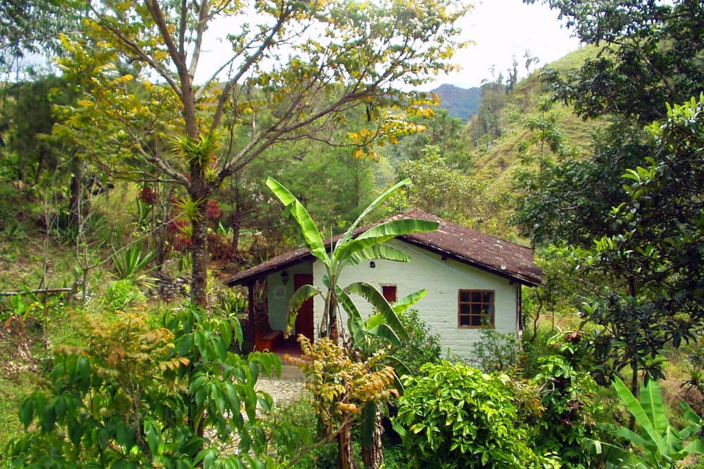 The Hummingbird Suite - Cabañas Río Yambala - Vilcabamba
