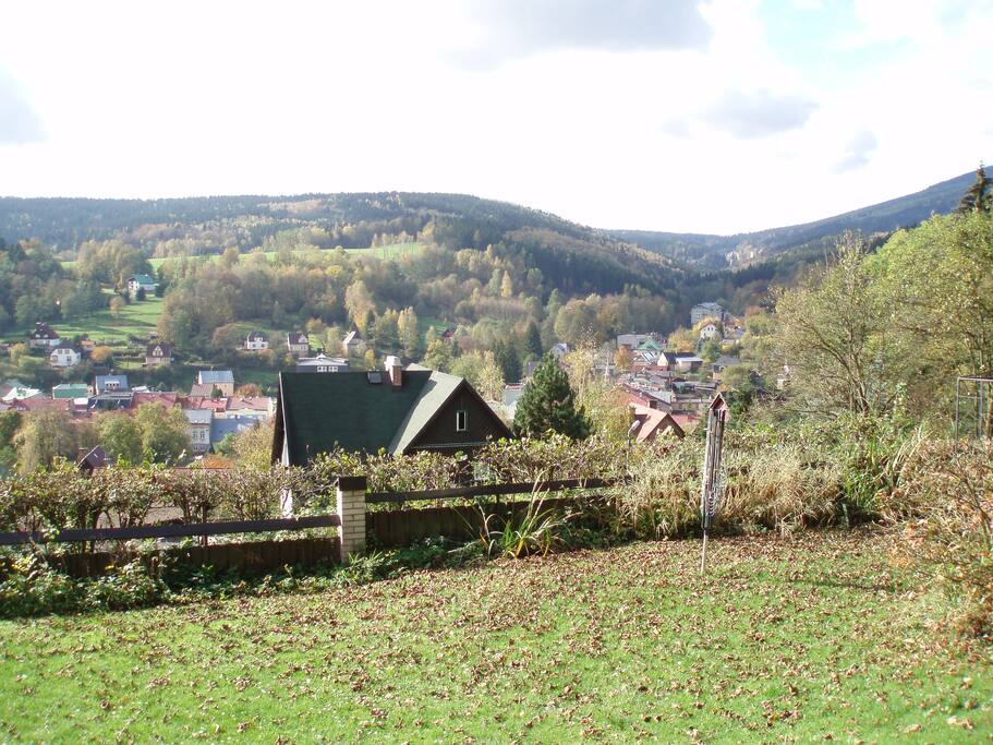 The view from the window in Summer
