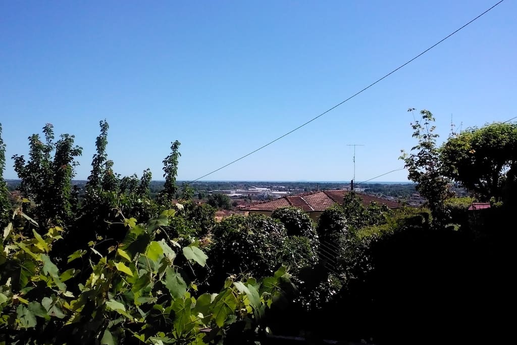 Panorama