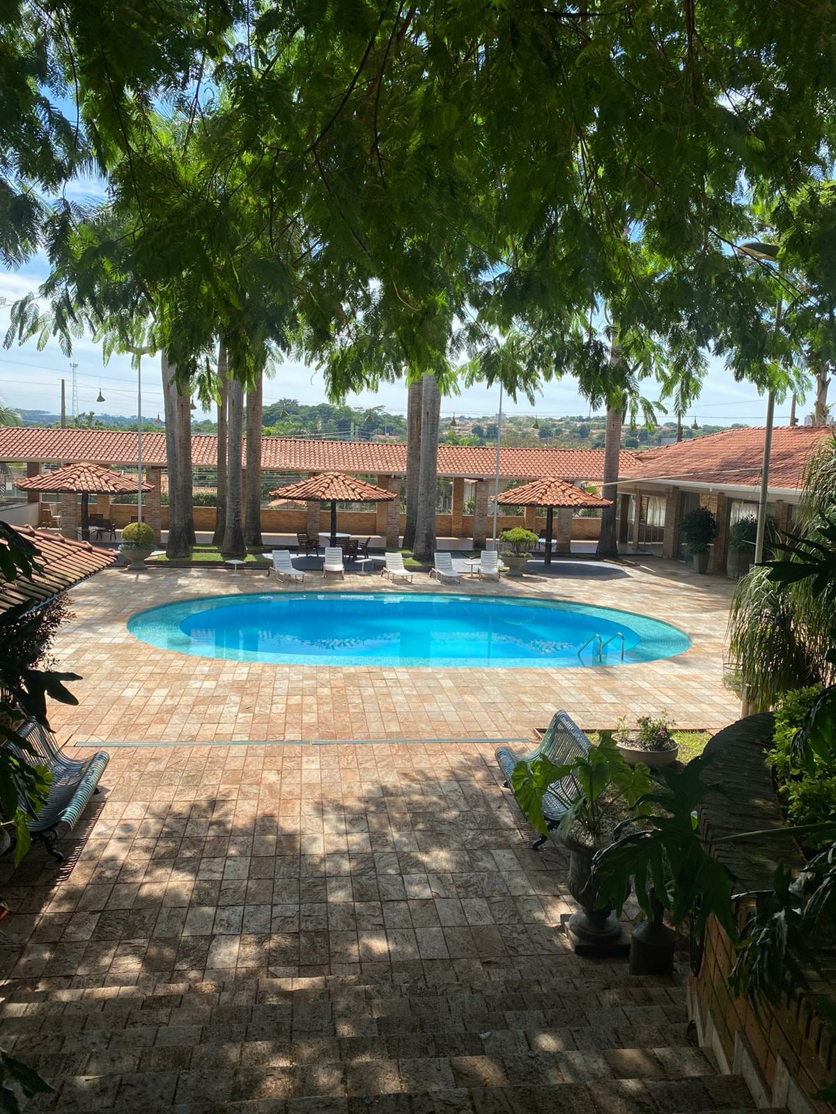 A large swimming pool is framed by tall palm trees, surrounded by terracotta-roofed structures. Sun loungers are positioned around the pool, offering space for relaxation. The area is paved with natural stone, contributing to an inviting outdoor setting.
