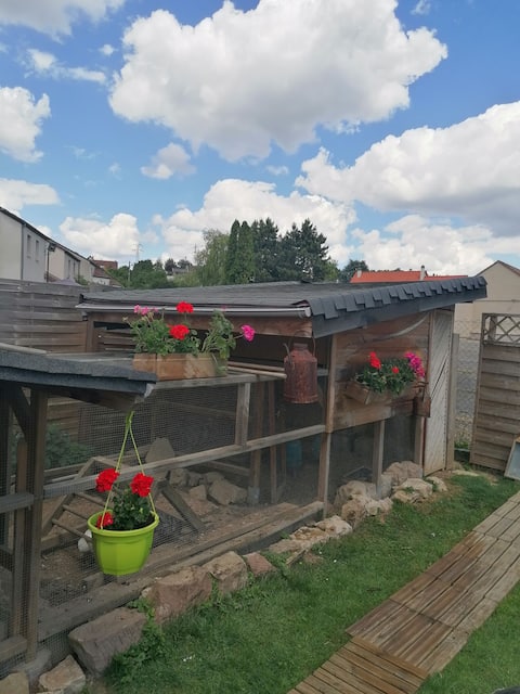 Cozy house with its mini farm