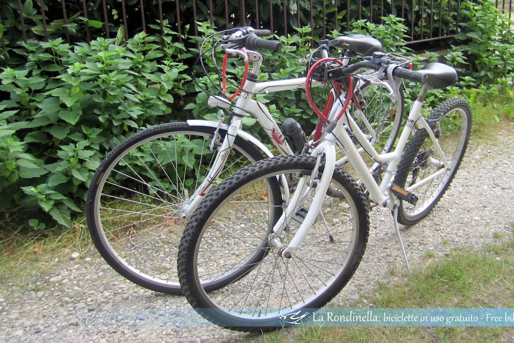 Biciclette in uso gratuito per piccole escursioni