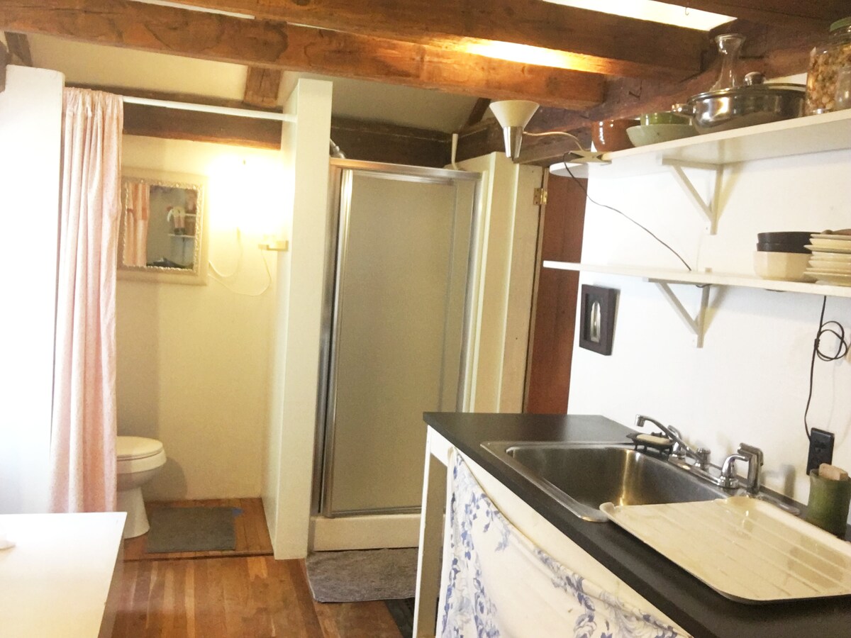 Historic Loft