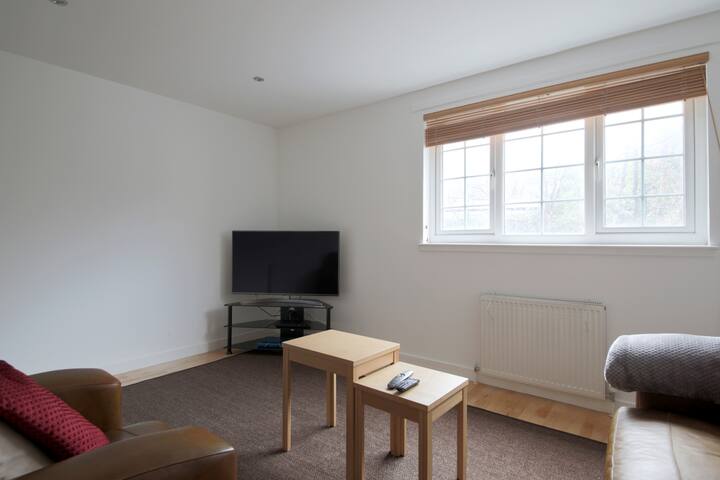 2 BR Apt Walking Distance to Centre & Haymarket gallery image 4