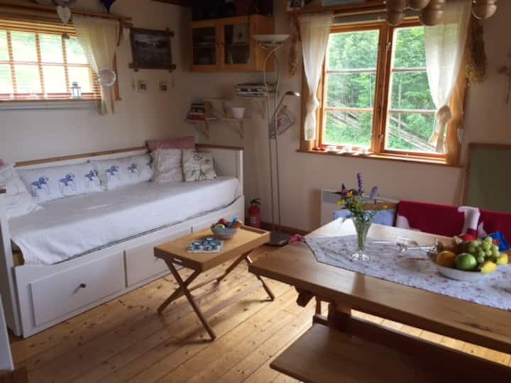The "big" room with the bed, kitchen and kitchen table. Stora rummet med bäddsoffa, kök, matbord