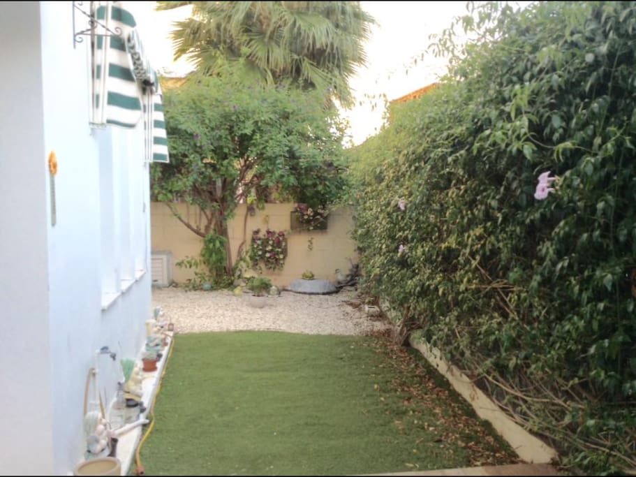 Back Garden