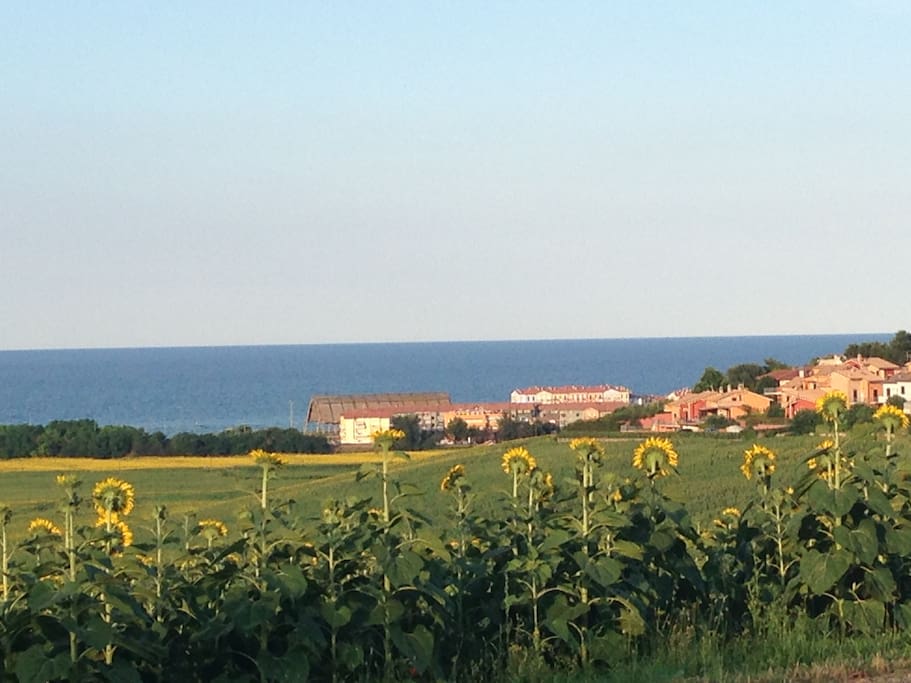 Panorama sul mare di Porto Recanati