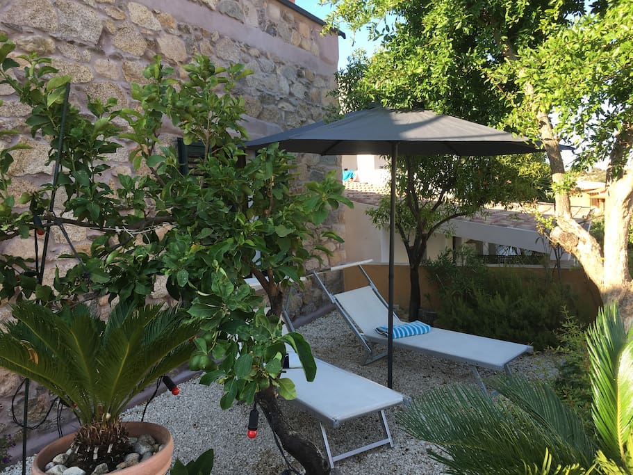 Seitlicher kleiner Garten mit Liegen und Zitronenbaum
