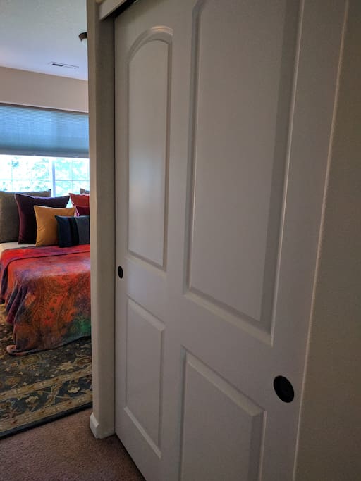 Closet in the guest room