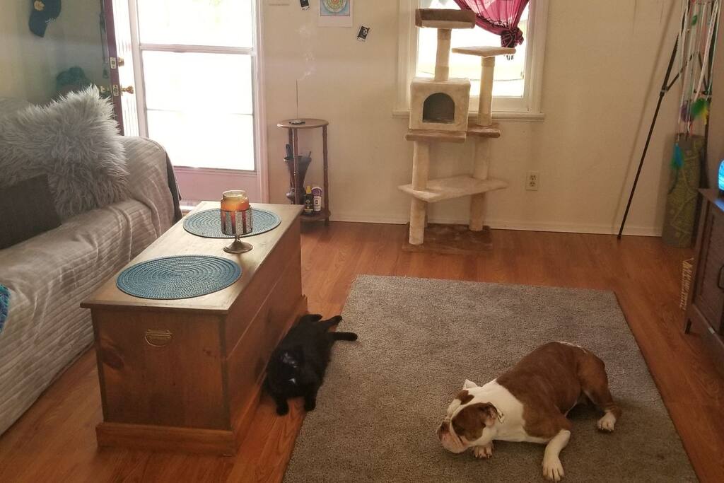 Shared smoke friendly living area going out to front entrance.