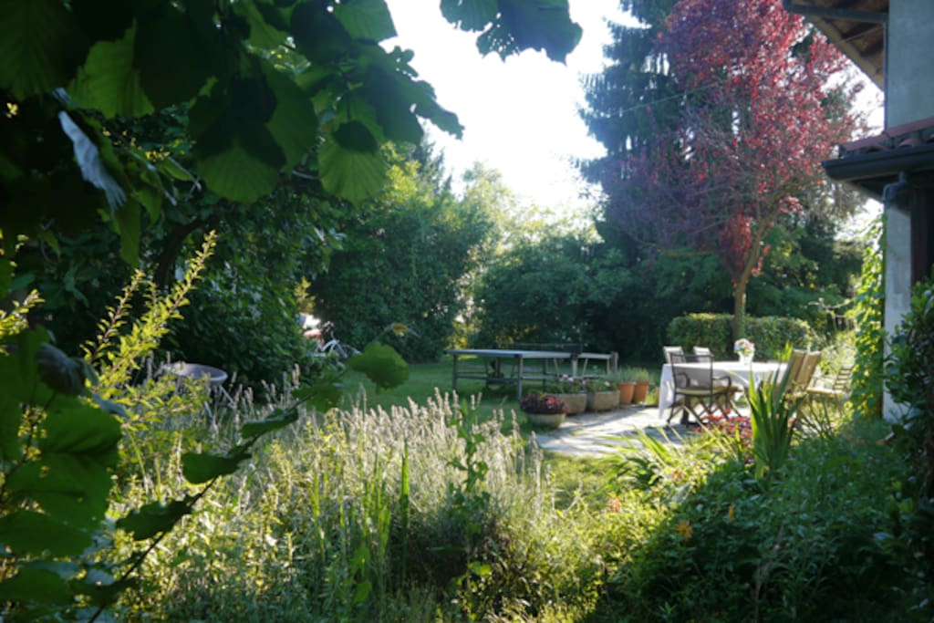 Outdoor courtyard