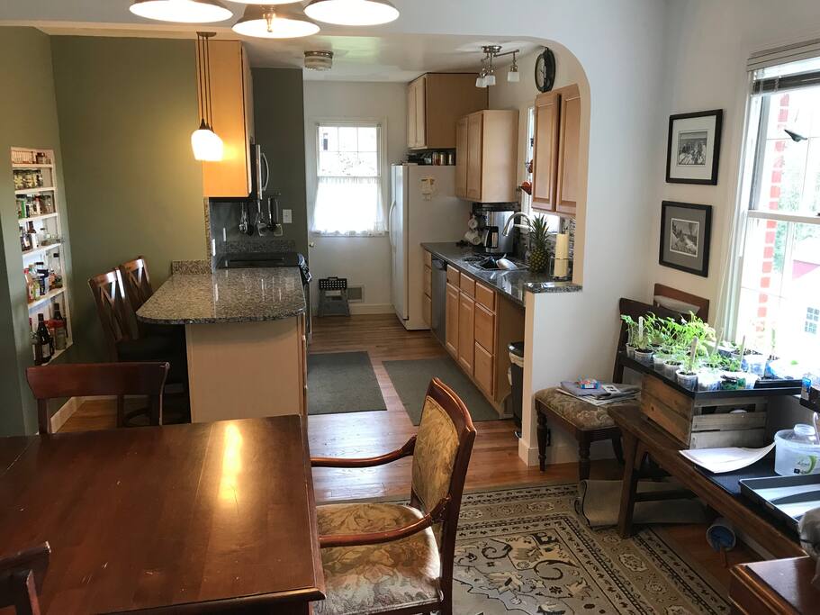 Upstairs/main floor kitchen and dining room. Far window is where stairs are to downstairs kitchenette, bathroom and then apartment.