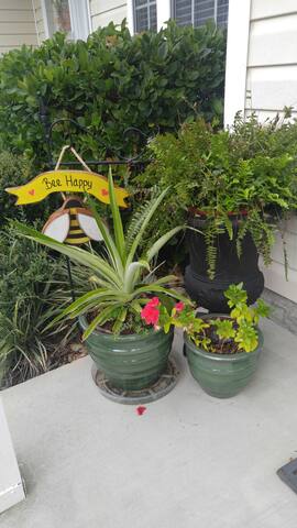 NEW>>>It's Better at the Beach!