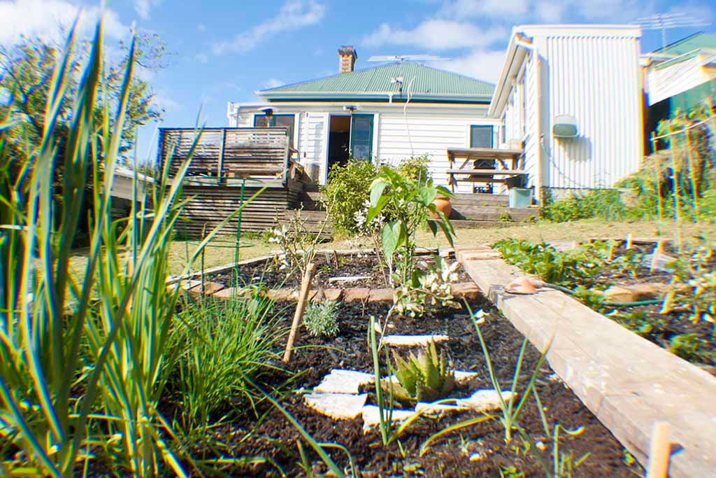 Veggie patch and large back garden