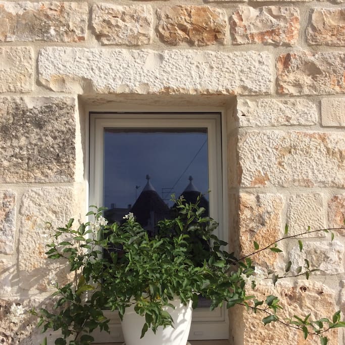 riflessi