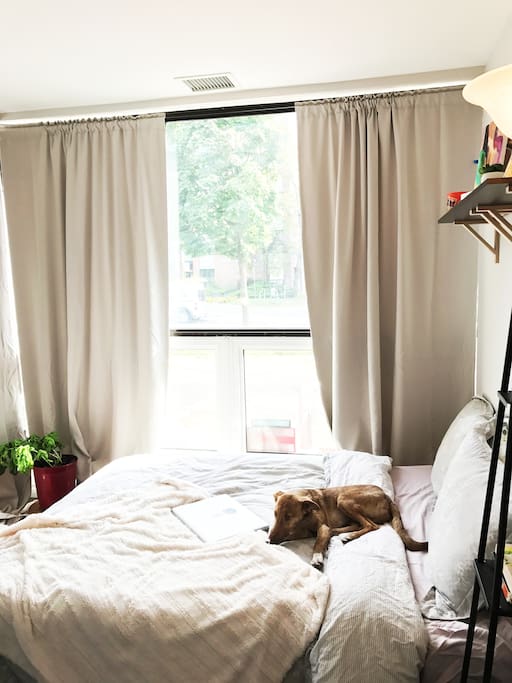 bedroom#1