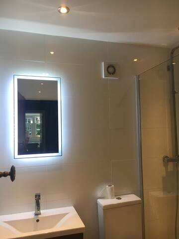 Wimbledon Common first floor flat gallery image 4