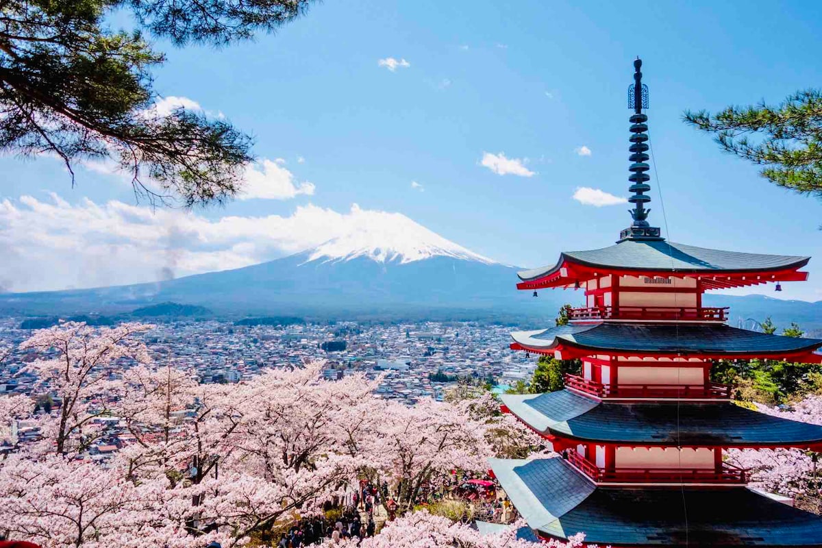 雄大な富士山を望む8mのグランピングドーム/暖房完備/専用 雄大な富士山を望む8mのグランピングドーム/暖房完備/専用