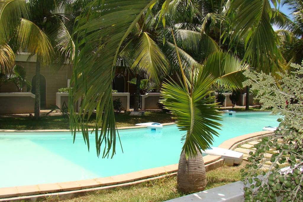 Pool view from the house
