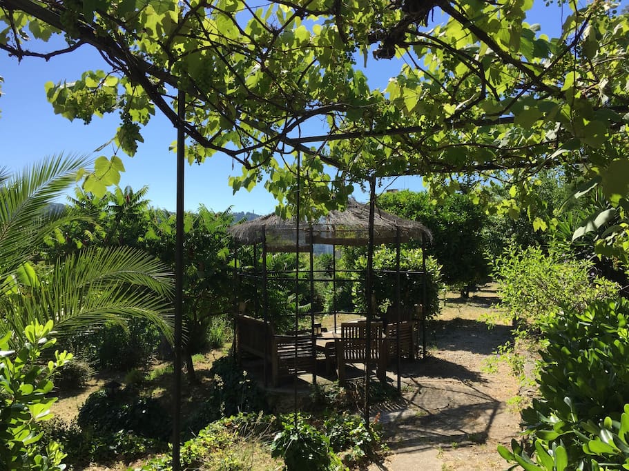 Coté jardin avec tonnelle face collines de la Californie et du Super cannes...