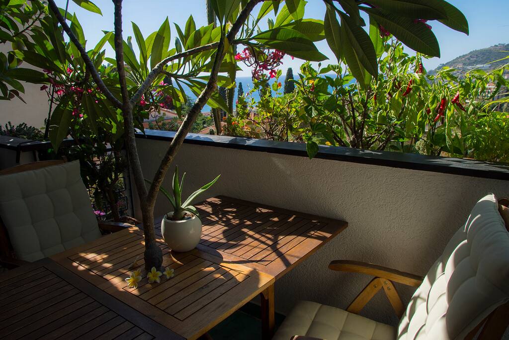 Dining on our south terrace facing under a flowering plumeria tree with views of the Mediterranean and the Alps.