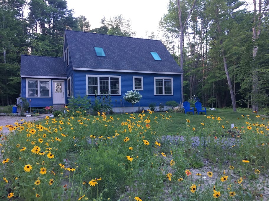 The Blue Roost, built in April 2016