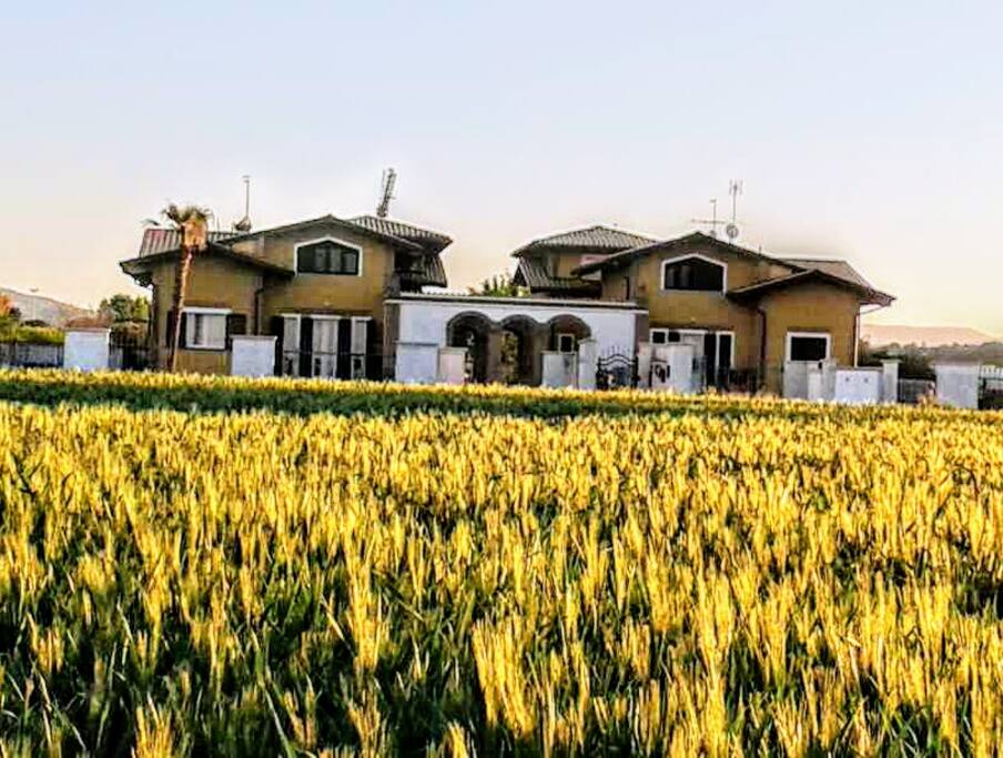 Casa immersa nel verde e campi di grano