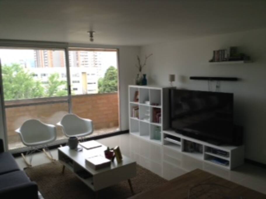 Sala con TV, biblioteca, teléfono, balcón.