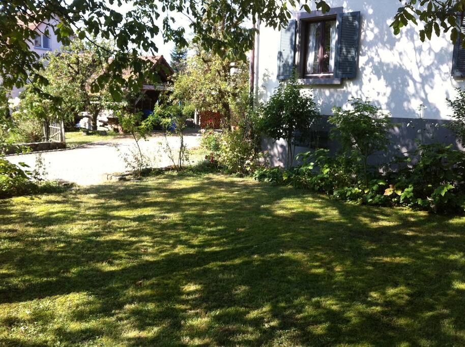 Schattiger Garten