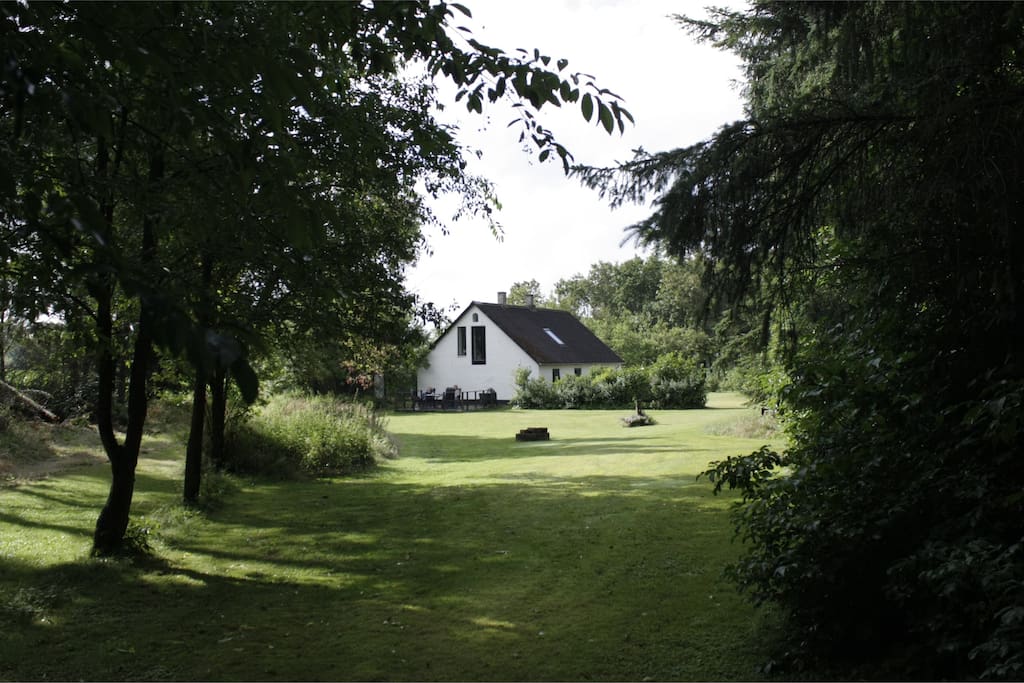 Huset set fra vejen ned i skoven