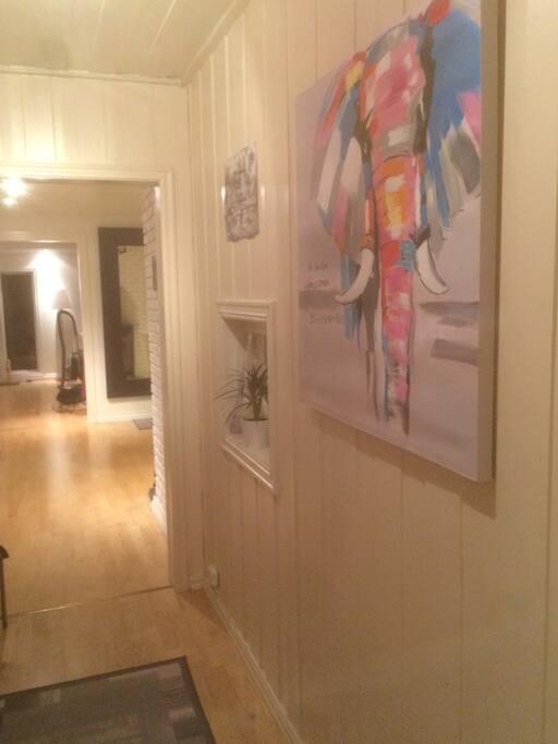 the hall, livingroom in front