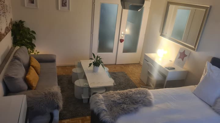 Habitación Para 4 Personas En El Centro De Ginebra - Canton of Geneva