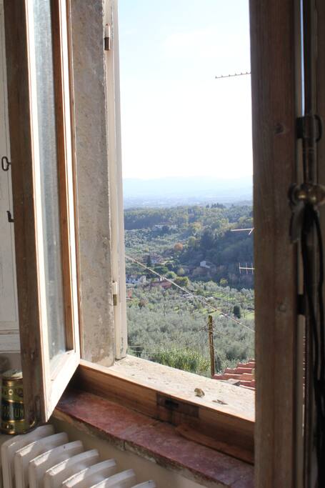 view from the bedroom